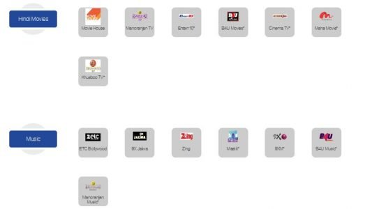 Hindi Movies and Music Channels in Zing Digital