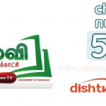 Kavli TV Channel Number in DTH Services